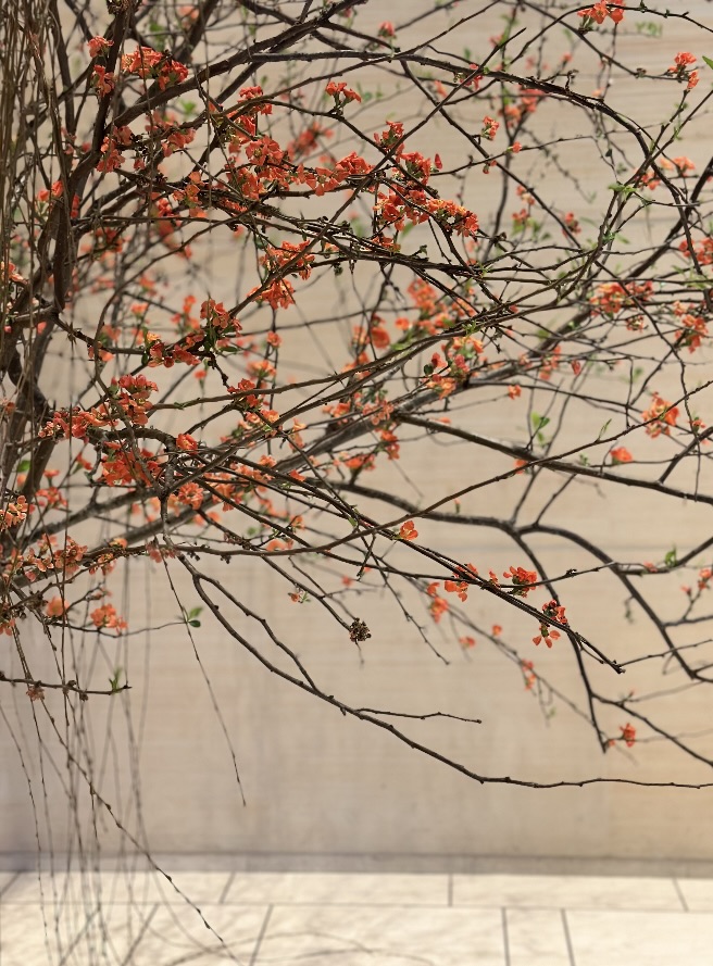 Extracting a color palette from a real-world photo with Color Picker
